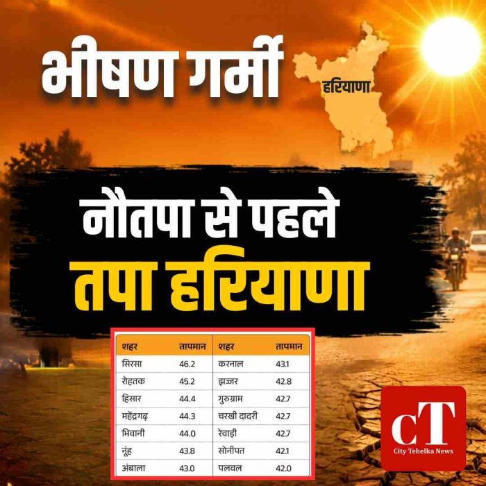 नौतपा से पहले तपा हरियाणा, पारा 46.2°C पहुंचा