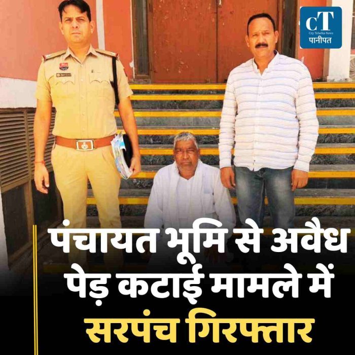 पंचायत भूमि से अवैध पेड़ कटाई मामले में सरपंच गिरफ्तार