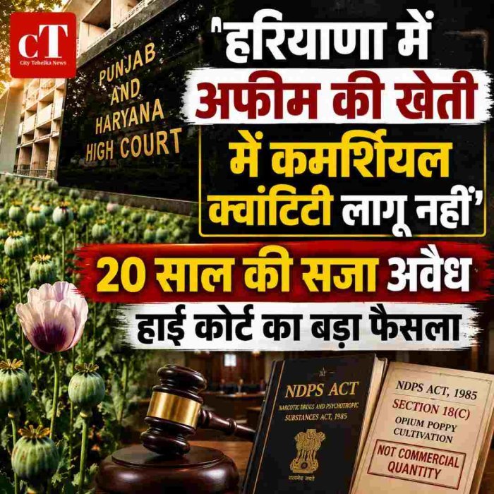 20 साल की सजा अवैध: हाई कोर्ट का बड़ा फैसला 'हरियाणा में अफीम की खेती में कमर्शियल क्वांटिटी लागू नहीं'