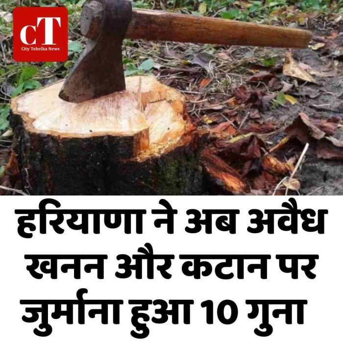 हरियाणा में वन अपराधियों पर सख्ती, जुर्माना कई गुना बढ़ा