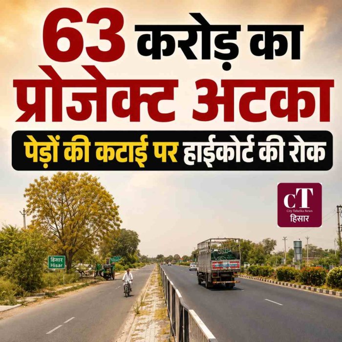 हिसार में 63 करोड़ का प्रोजेक्ट अटका, हाईकोर्ट ने पेड़ों की कटाई पर लगाई रोक
