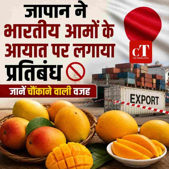 जापान ने भारतीय आमों के आयात पर लगाया प्रतिबंध , जानें चौंकाने वाली व‍जह