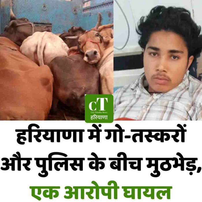 हरियाणा में गो-तस्करों और पुलिस के बीच मुठभेड़, एक आरोपी घायल