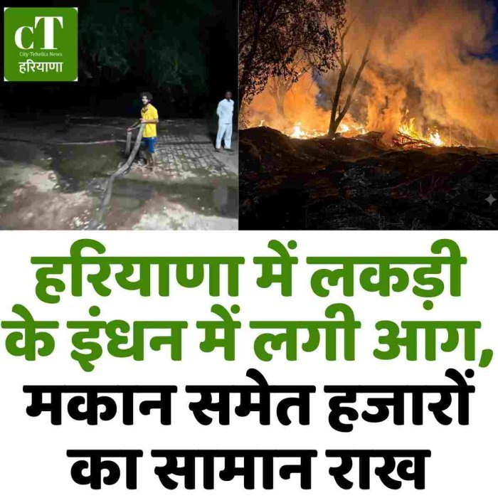 हरियाणा में लकड़ी के इंधन में लगी आग, मकान समेत हजारों का सामान राख