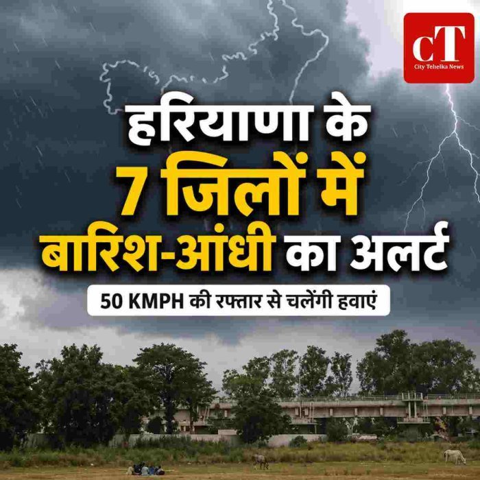हरियाणा के 7 जिलों में बारिश-आंधी का अलर्ट, 50 KMPH की रफ्तार से चलेंगी हवाएं