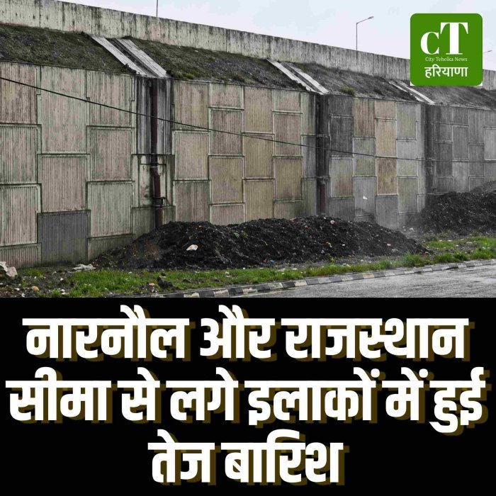नारनौल और राजस्थान सीमा से लगे इलाकों में हुई तेज बारिश