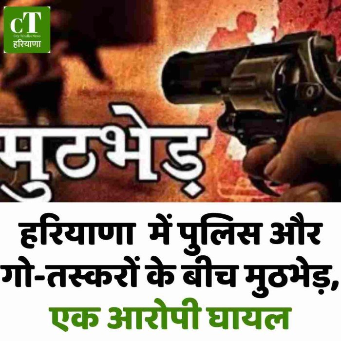 हरियाणा  में पुलिस और गो-तस्करों के बीच मुठभेड़, एक आरोपी घायल