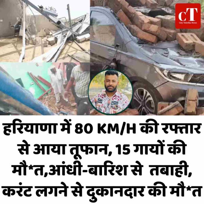 हरियाणा में 80 KM/H की रफ्तार से आया तूफान, 15 गायों की मौ*त,आंधी-बारिश से  तबाही, करंट लगने से दुकानदार की मौ*त