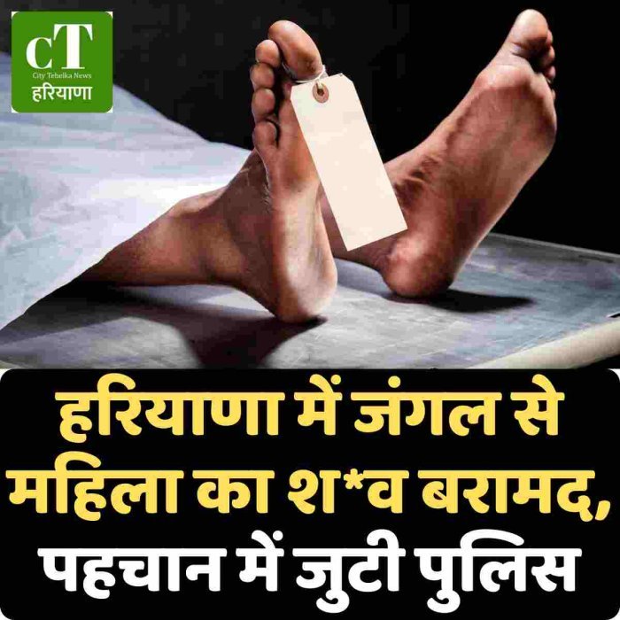 हरियाणा में जंगल से महिला का श*व बरामद, पहचान में जुटी पुलिस