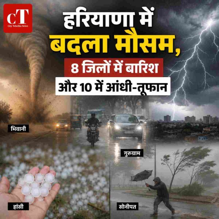 हरियाणा में बदला मौसम, 8 जिलों में बारिश और 10 में आंधी-तूफान