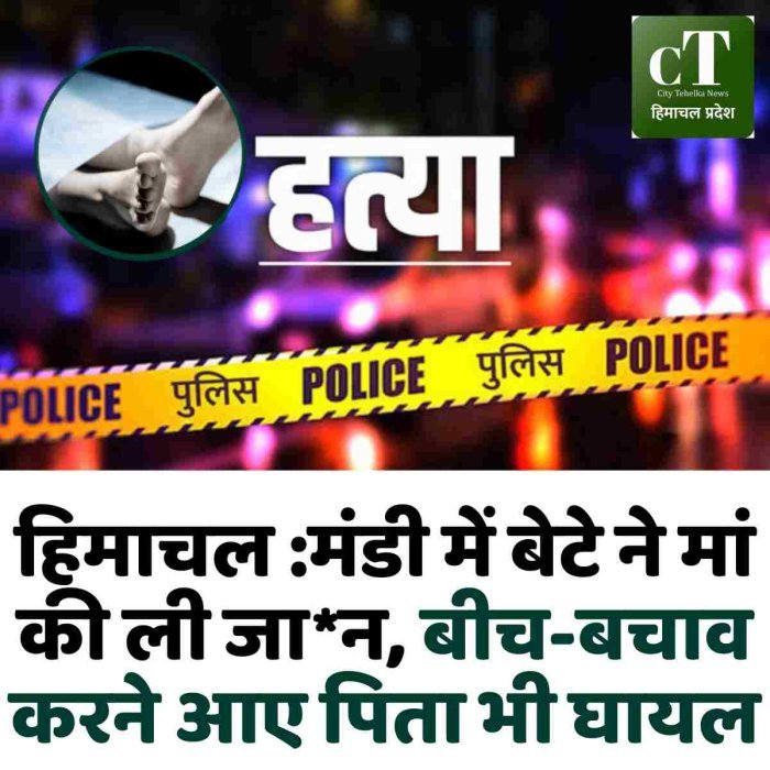 हिमाचल :मंडी में बेटे ने मां की ली जा*न, बीच-बचाव करने आए पिता भी घायल