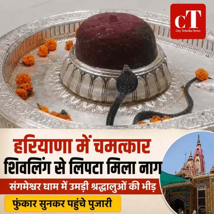 शिवलिंग से लिपटा मिला काला नाग: कुरुक्षेत्र के संगमेश्वर धाम में उमड़ी श्रद्धालुओं की भीड़, VIDEO वायरल