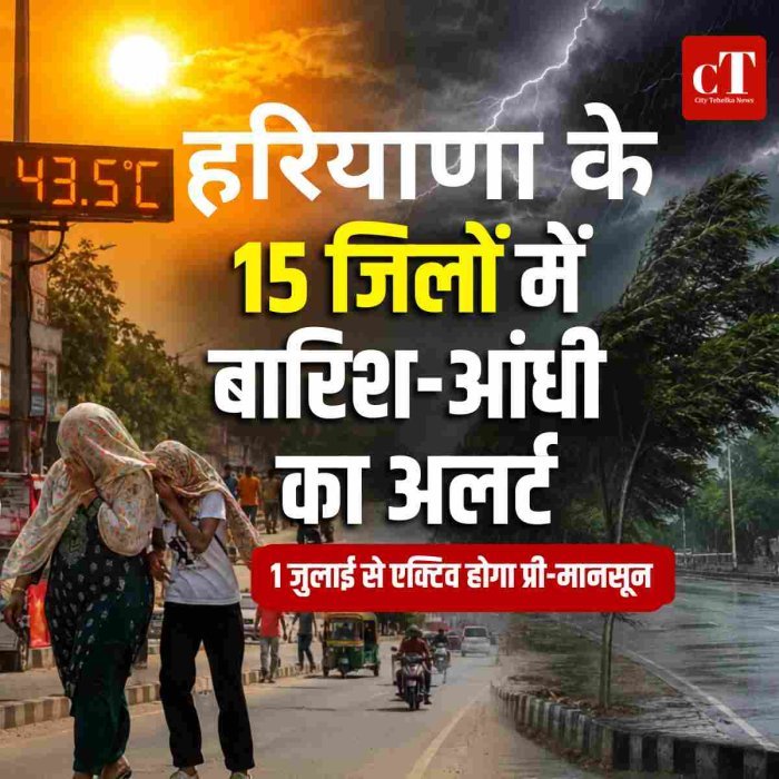 हरियाणा के 15 जिलों में बारिश-आंधी का अलर्ट, 1 जुलाई से एक्टिव होगा प्री-मानसून