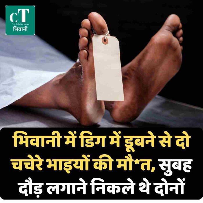 भिवानी में डिग में डूबने से दो चचेरे भाइयों की मौ*त, सुबह दौड़ लगाने निकले थे दोनों