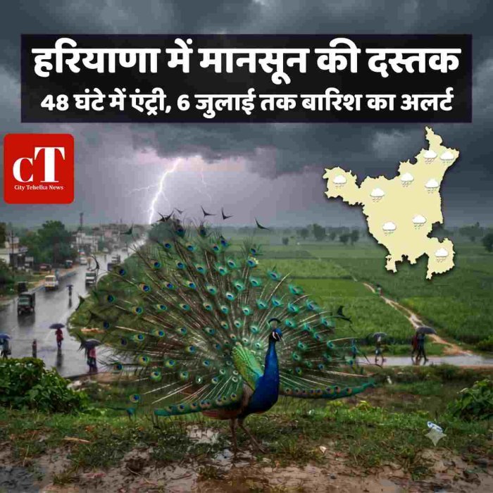 हरियाणा में मानसून की दस्तक,48 घंटे में एंट्री, 6 जुलाई तक बारिश का अलर्ट
