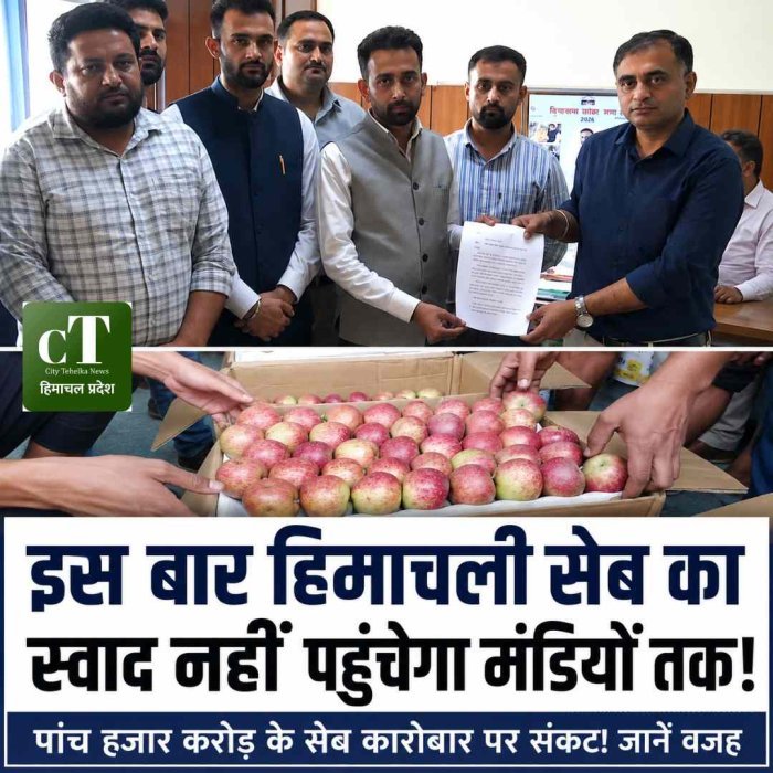 इस बार हिमाचली सेब का स्‍वाद नहीं पहुंचेगा मंडियों तक! पांच हजार करोड़ के सेब कारोबार पर संकट! जानें वजह