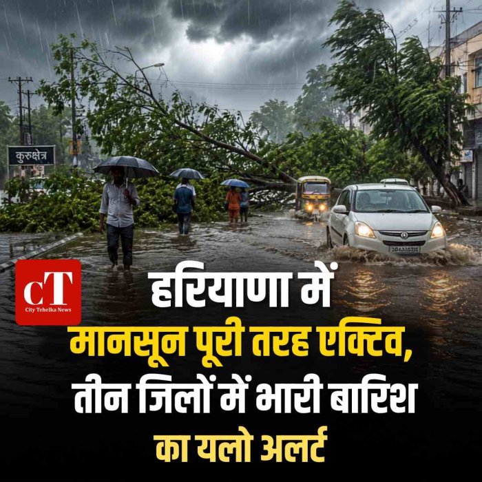 हरियाणा में मानसून पूरी तरह एक्टिव, तीन जिलों में भारी बारिश का यलो अलर्ट