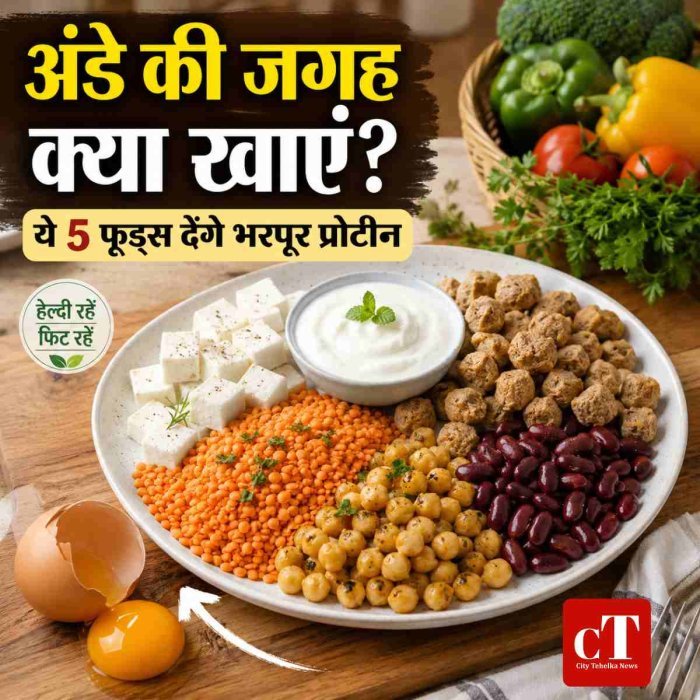 अंडे की जगह क्या खाएं? ये 5 फूड्स देंगे भरपूर प्रोटीन