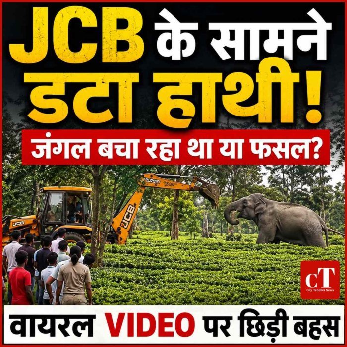 JCB के सामने डटा हाथी! जंगल बचा रहा था या फसल? वायरल VIDEO पर छिड़ी बहस