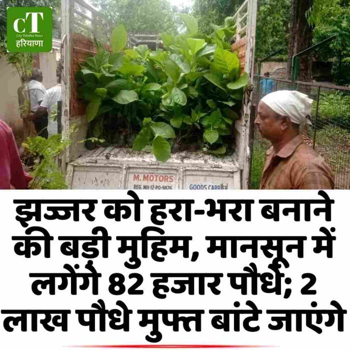 झज्जर को हरा-भरा बनाने की बड़ी मुहिम, मानसून में लगेंगे 82 हजार पौधे; 2 लाख पौधे मुफ्त बांटे जाएंगे