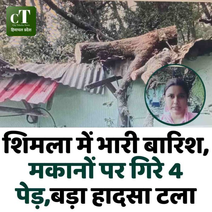 शिमला में भारी बारिश, मकानों पर गिरे 4 पेड़,बड़ा हादसा टला