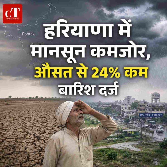 हरियाणा में मानसून कमजोर, औसत से 24% कम बारिश दर्ज