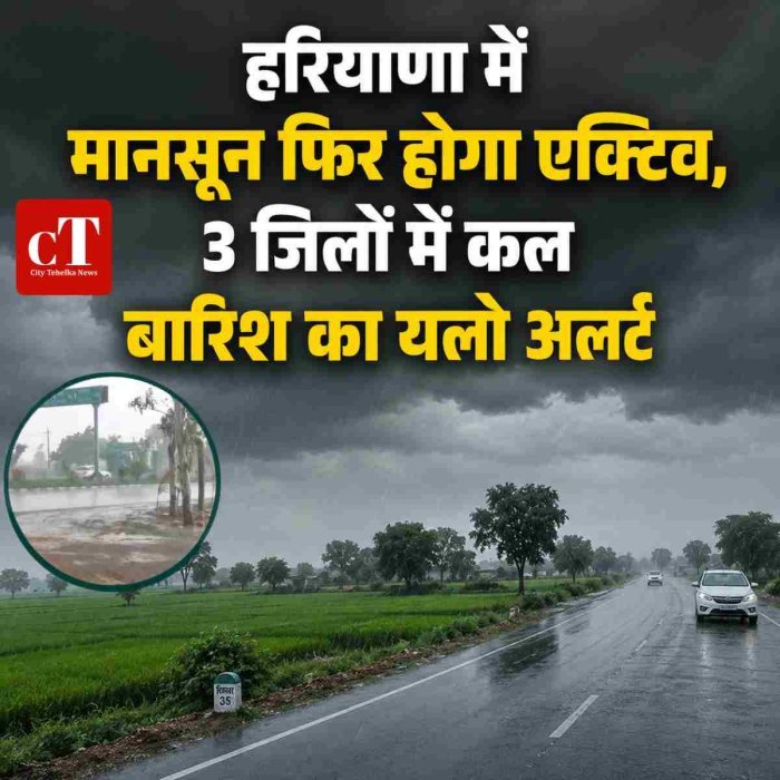 हरियाणा में मानसून फिर होगा एक्टिव, 3 जिलों में कल बारिश का यलो अलर्ट