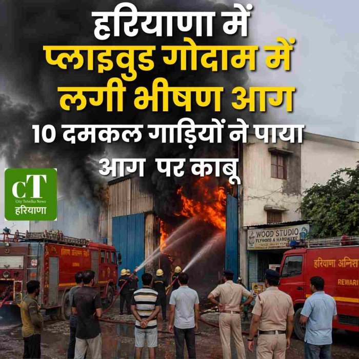 हरियाणा में प्लाइवुड गोदाम में लगी भीषण आग, 10 दमकल गाड़ियों ने पाया आग  पर काबू