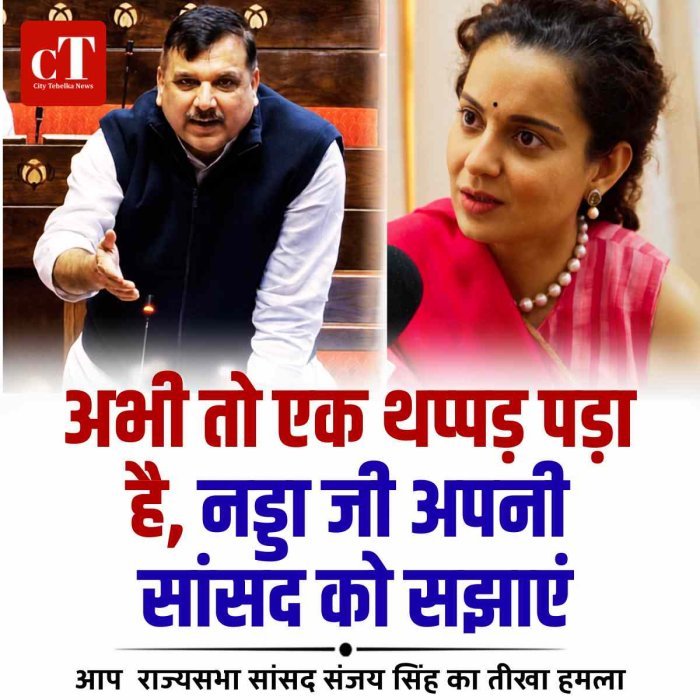 संजय सिंह बोले- 'अभी तो एक थप्पड़ पड़ा', नड्डा जी अपनी सांसद को समझाइए