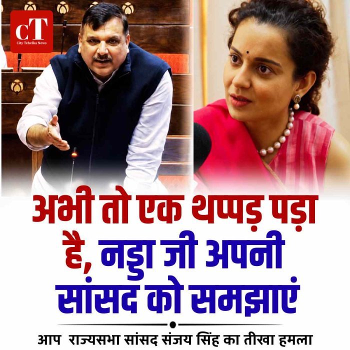 संजय सिंह बोले- 'अभी तो एक थप्पड़ पड़ा', नड्डा जी अपनी सांसद को समझाइए