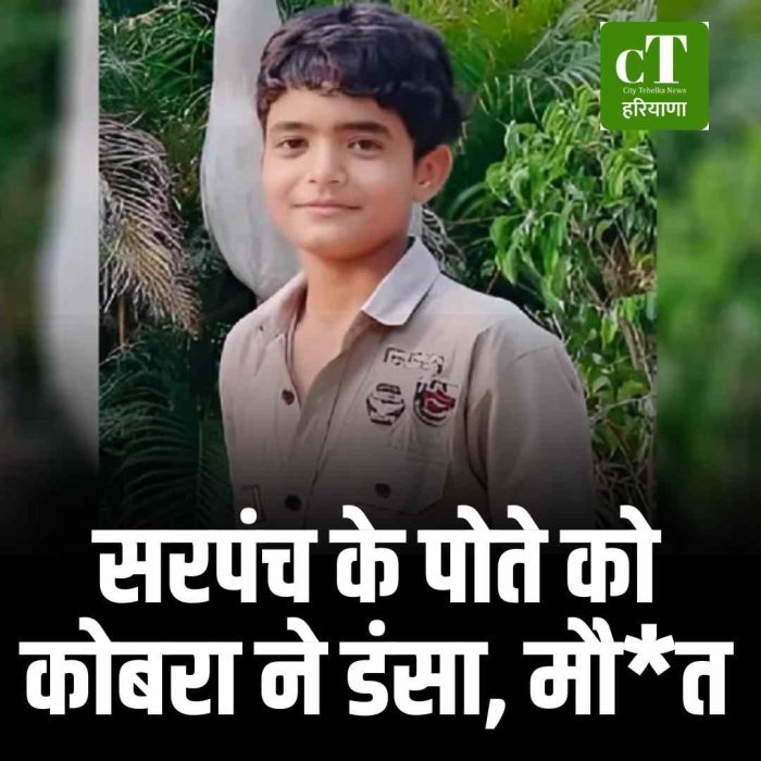 सरपंच के पोते को कोबरा ने डंसा, मौत