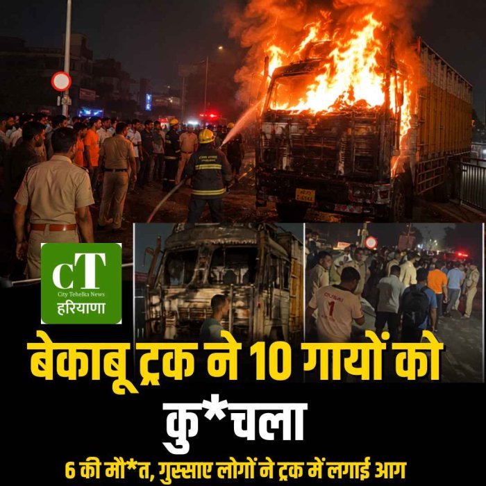 बेकाबू ट्रक ने 10 गायों को कु*चला, 6 की मौ*त, गुस्साए लोगों ने ट्रक में लगाई आग