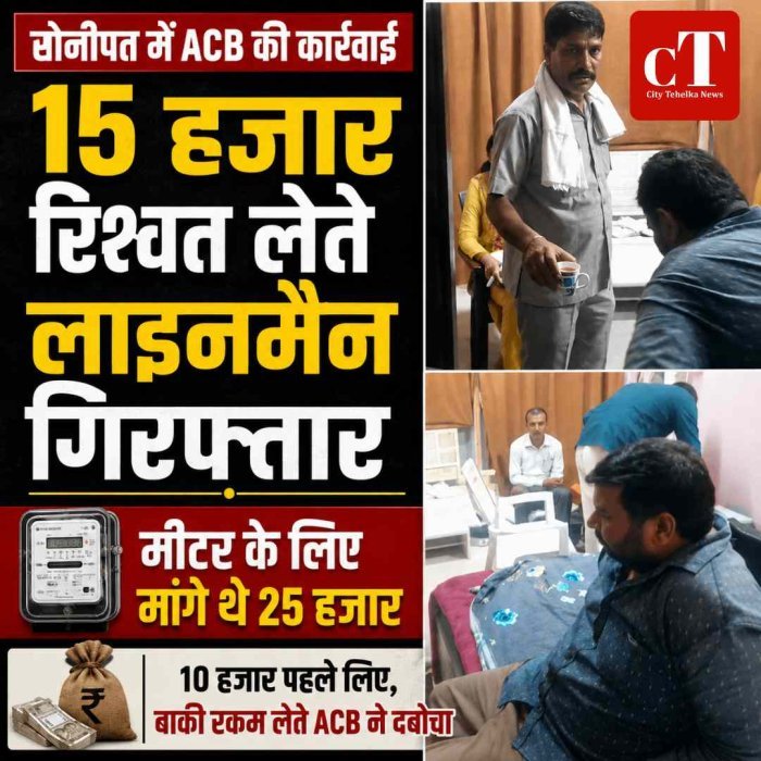 ₹15 हजार रिश्वत लेते लाइनमैन गिरफ्तार, मीटर लगवाने के नाम पर मांगे थे ₹25 हजार
