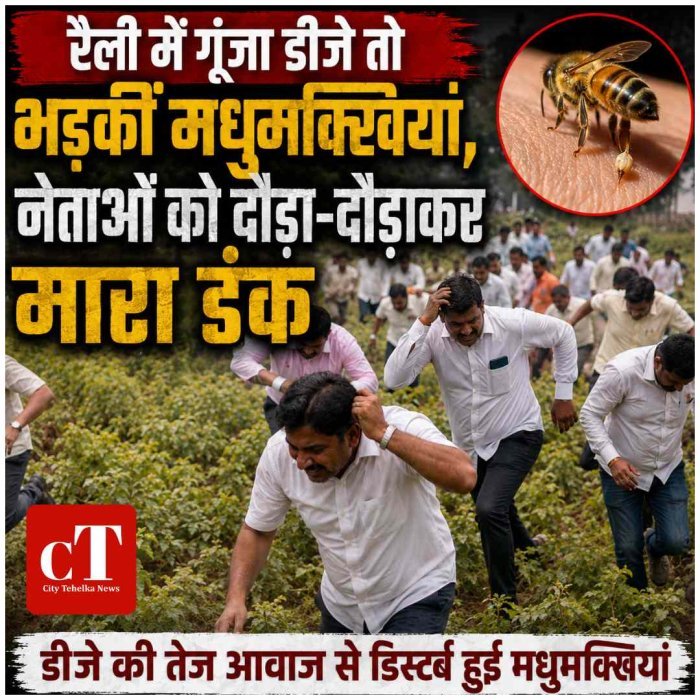 रैली में गूंजा डीजे तो भड़कीं मधुमक्खियां, नेताओं को दौड़ा-दौड़ाकर मारा डंक