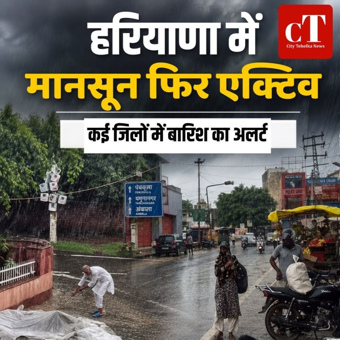 हरियाणा में मानसून फिर एक्टिव,कई जिलों में बारिश का अलर्ट