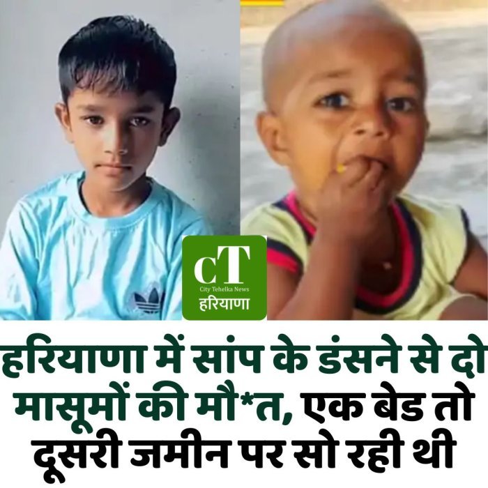 हरियाणा में सांप के डंसने से दो मासूमों की मौ*त, एक बेड तो दूसरी जमीन पर सो रही थी