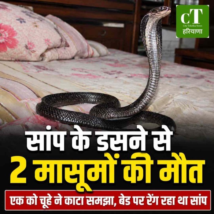 हरियाणा के कैथल में दो मासूमों को सांप ने डसा, इलाज के दौरान मौत; बेड पर रेंग रहा था ब्लैक कोबरा