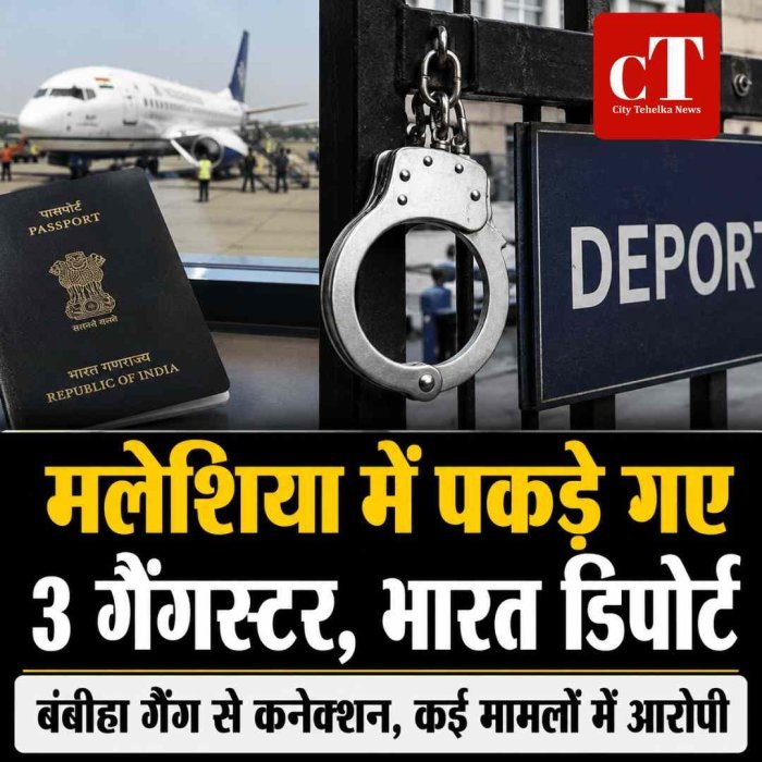 मलेशिया में पकड़े गए भारत के 3 गैंगस्टर डिपोर्ट, बंबीहा गैंग से कनेक्शन; कई मामलों में आरोपी, नाम पढ़िए