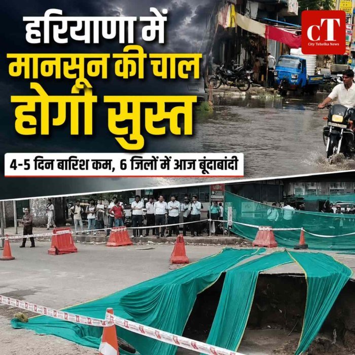 हरियाणा में मानसून की चाल होगी सुस्त, 4-5 दिन बारिश के आसार कम; 6 जिलों में आज बूंदाबांदी