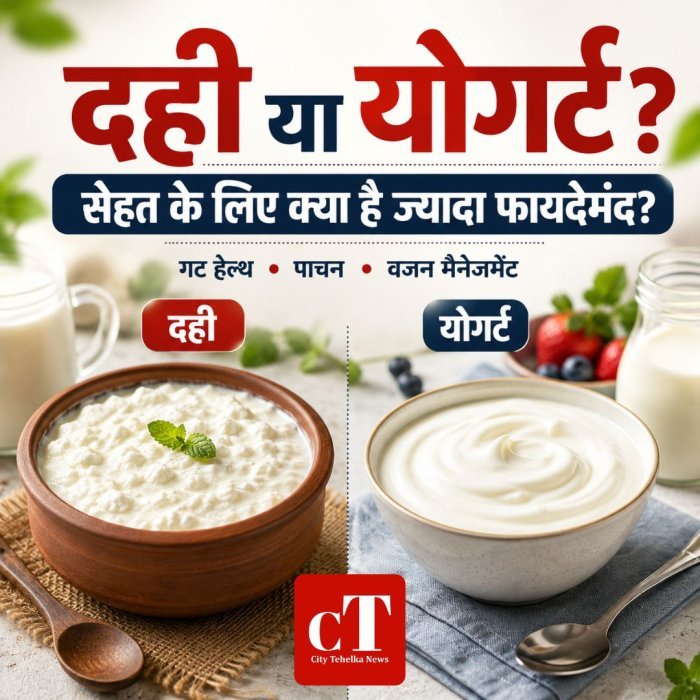 दही या योगर्ट? सेहत के लिए क्या है ज्यादा फायदेमंद?