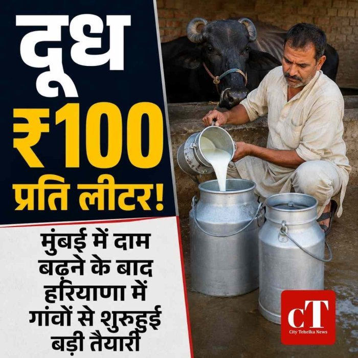दूध अब ₹100 पार!  मुंबई में दाम बढ़ने के बाद हरियाणा में गांवों से शुरूहुई बड़ी तैयारी, शहरों में ₹115 तक पहुंचेगा भाव?
