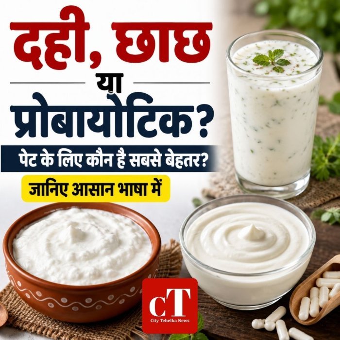 दही, छाछ या प्रोबायोटिक? पेट के लिए कौन है सबसे बेहतर? जानिए आसान भाषा में
