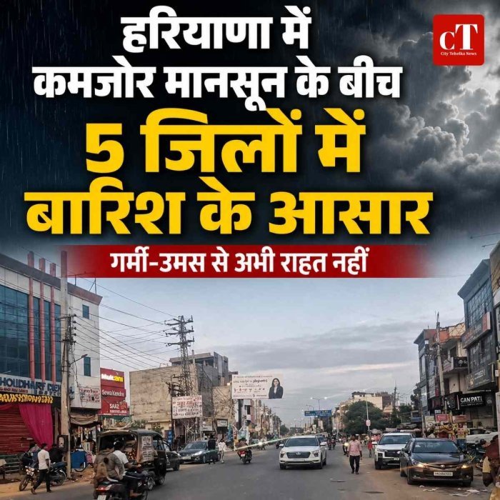 हरियाणा में कमजोर मानसून के बीच 5 जिलों में बारिश के आसार, गर्मी-उमस से अभी राहत नहीं