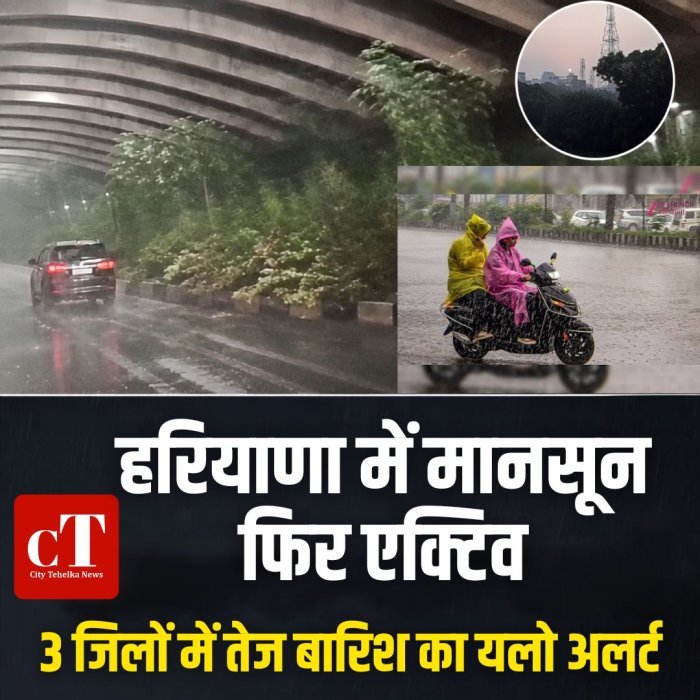 हरियाणा में मानसून फिर एक्टिव, 3 जिलों में तेज बारिश का यलो अलर्ट