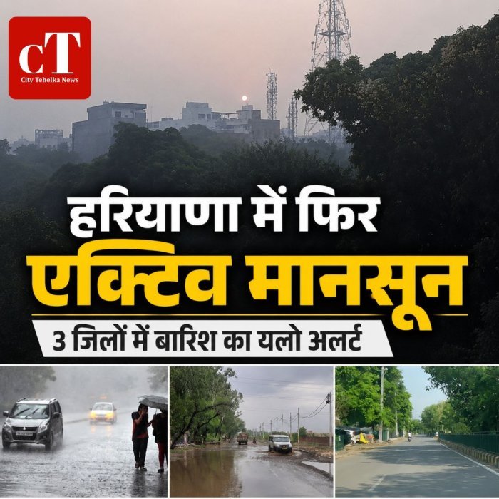 हरियाणा में फिर एक्टिव मानसून,3 जिलों में बारिश का यलो अलर्ट