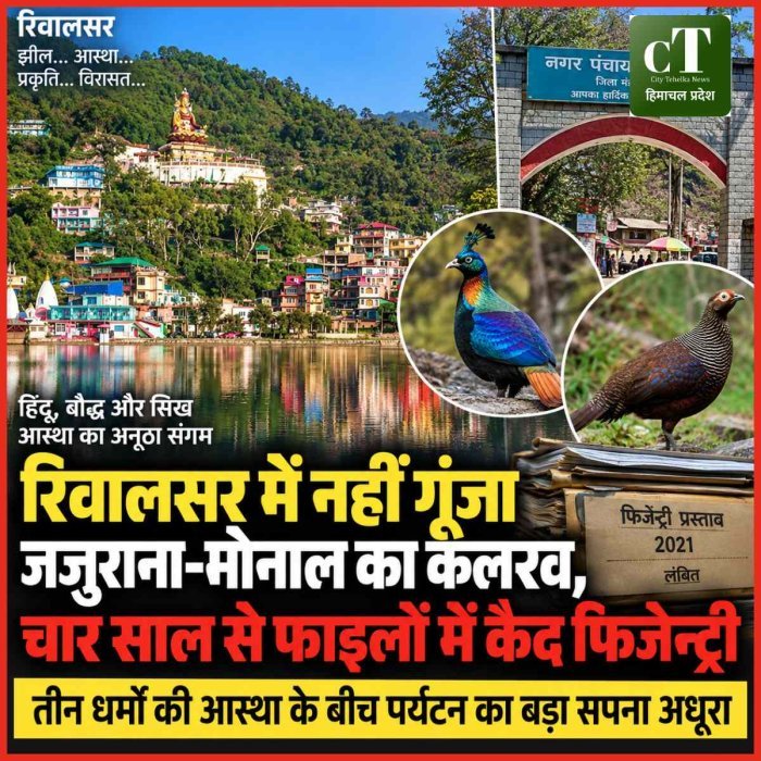 रिवालसर में नहीं गूंजा जजुराना-मोनाल का कलरव, चार साल से फाइलों में कैद फिजेन्ट्री; तीन धर्मों की आस्था के बीच पर्यटन का बड़ा सपना अधूरा
