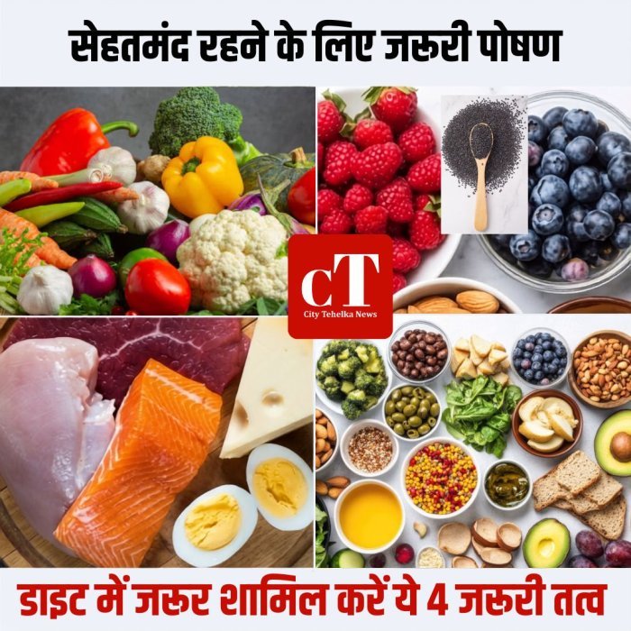 सेहतमंद रहने के लिए जरूरी पोषण,डाइट में जरूर शामिल करें ये 4 जरूरी तत्व