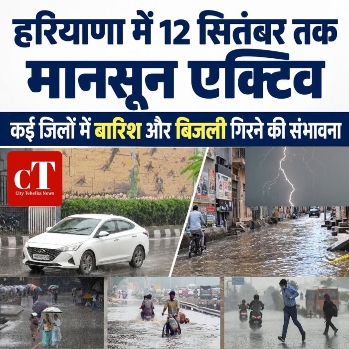 हरियाणा में 12 सितंबर तक मानसून एक्टिव, कई जिलों में बारिश और बिजली गिरने की संभावना