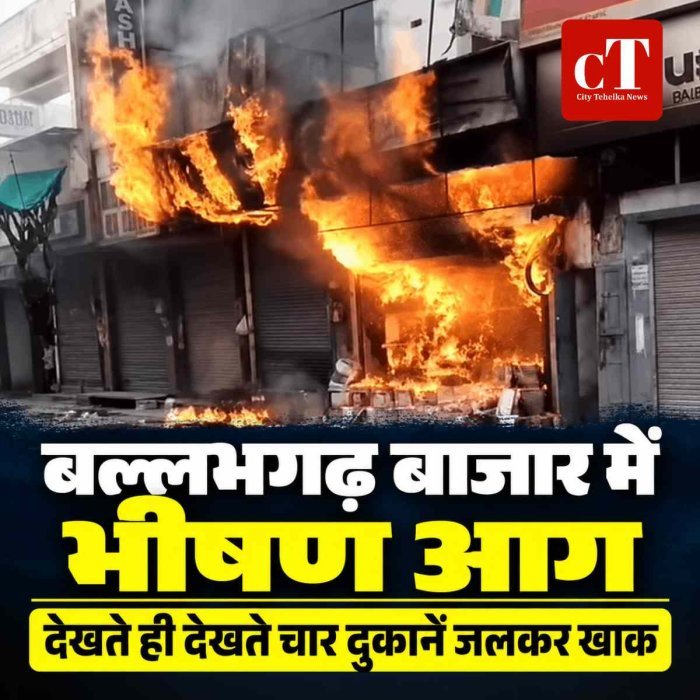 बाजार में पेट की दुकान में लगी भीषण आग, चार दुकानें जलकर खाक