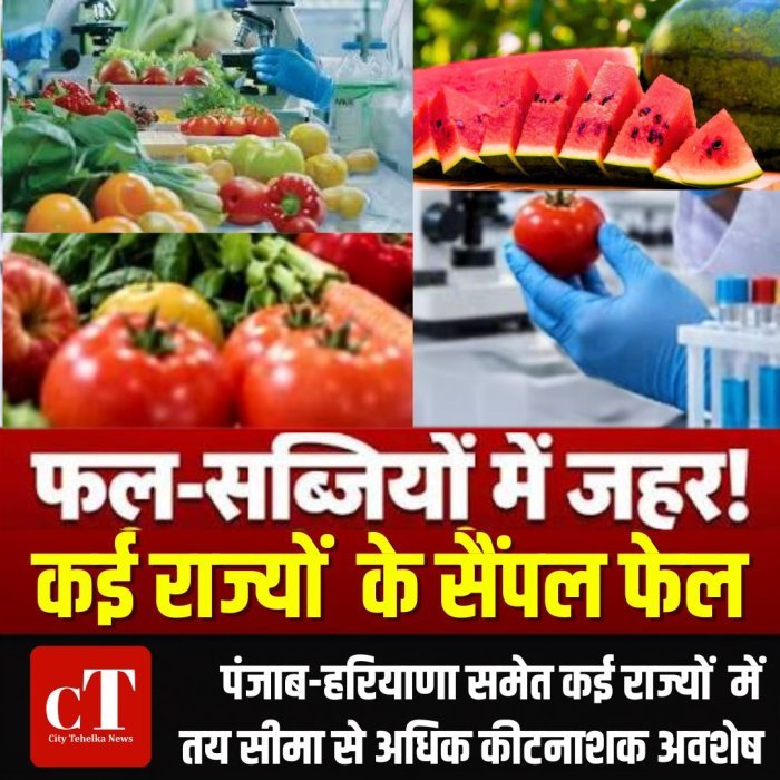 फल-सब्जियों में जहर का खतरा! कई राज्यों  के सैंपल फेल,पंजाब-हरियाणा समेत कई राज्यों  में तय सीमा से अधिक कीटनाशक अवशेष
